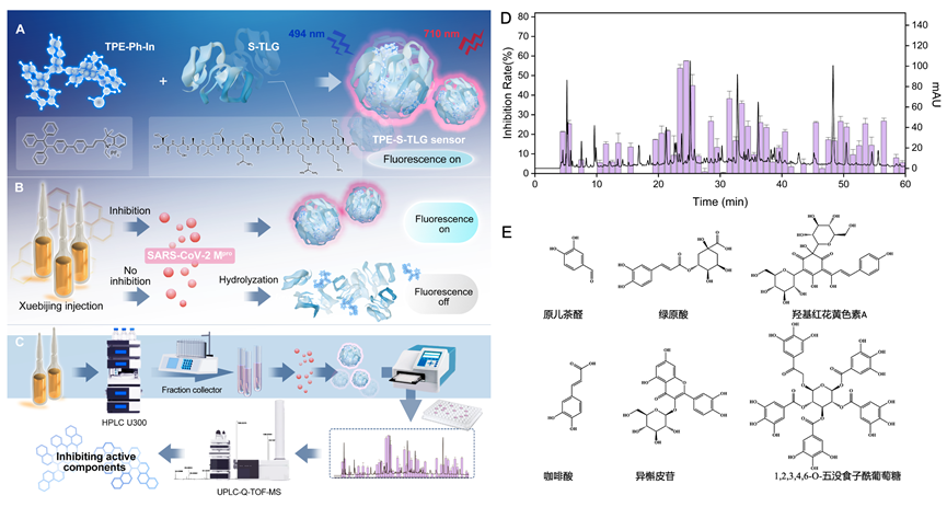 A Peptide-Decorated and Curcumin- Loaded Mesoporous Silica Nanomedicine for Effectively Overcoming Multidrug Resistance in Cancer Cell代表性科研图片