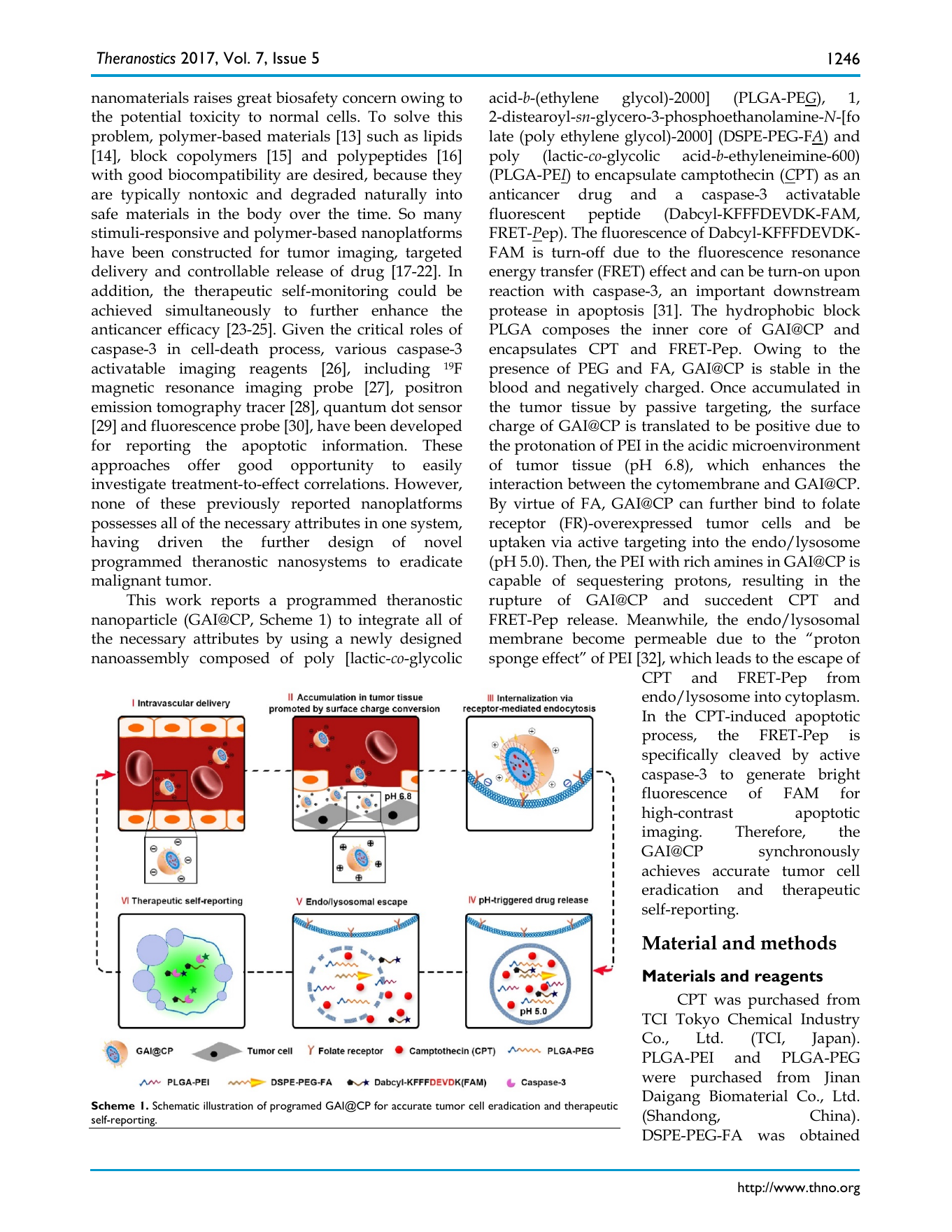 A Programmed Nanoparticle with Self-Adapting for Accurate Cancer Cell Eradication and Therapeutic Self- Reporting 原文图